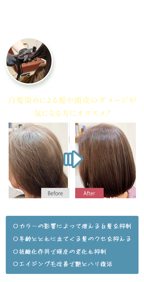 最高品質の「水素ケア」